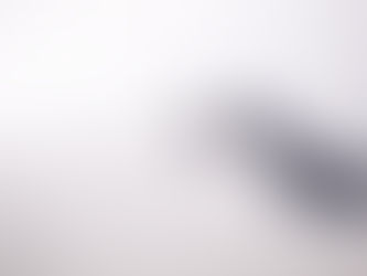 The Fog