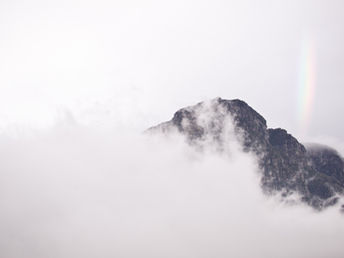The Fog