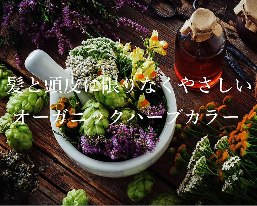 ハーブの画像