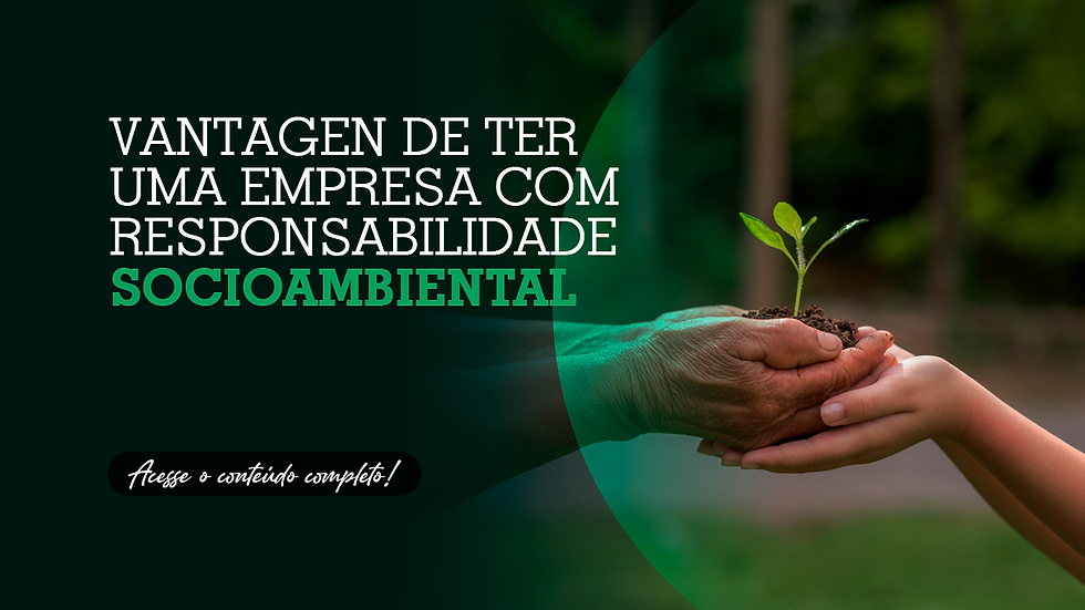 Vantagens de ter uma empresa com responsabilidade socioambiental