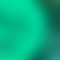 IR 2026: Como acessar a declaração pré-preenchida com conta do Gov