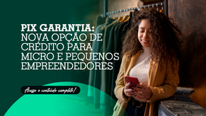 Pix Garantia: nova opção de crédito para micro e pequenos empreendedores