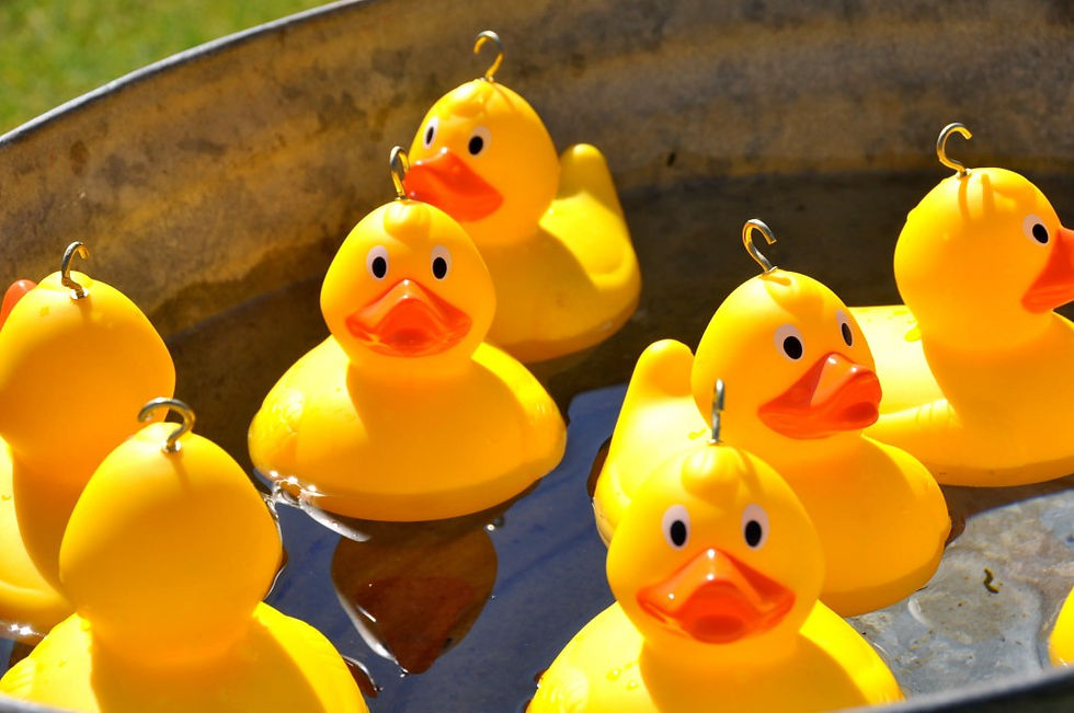 Hook a Duck
