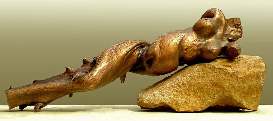 19 Thuja.jpg