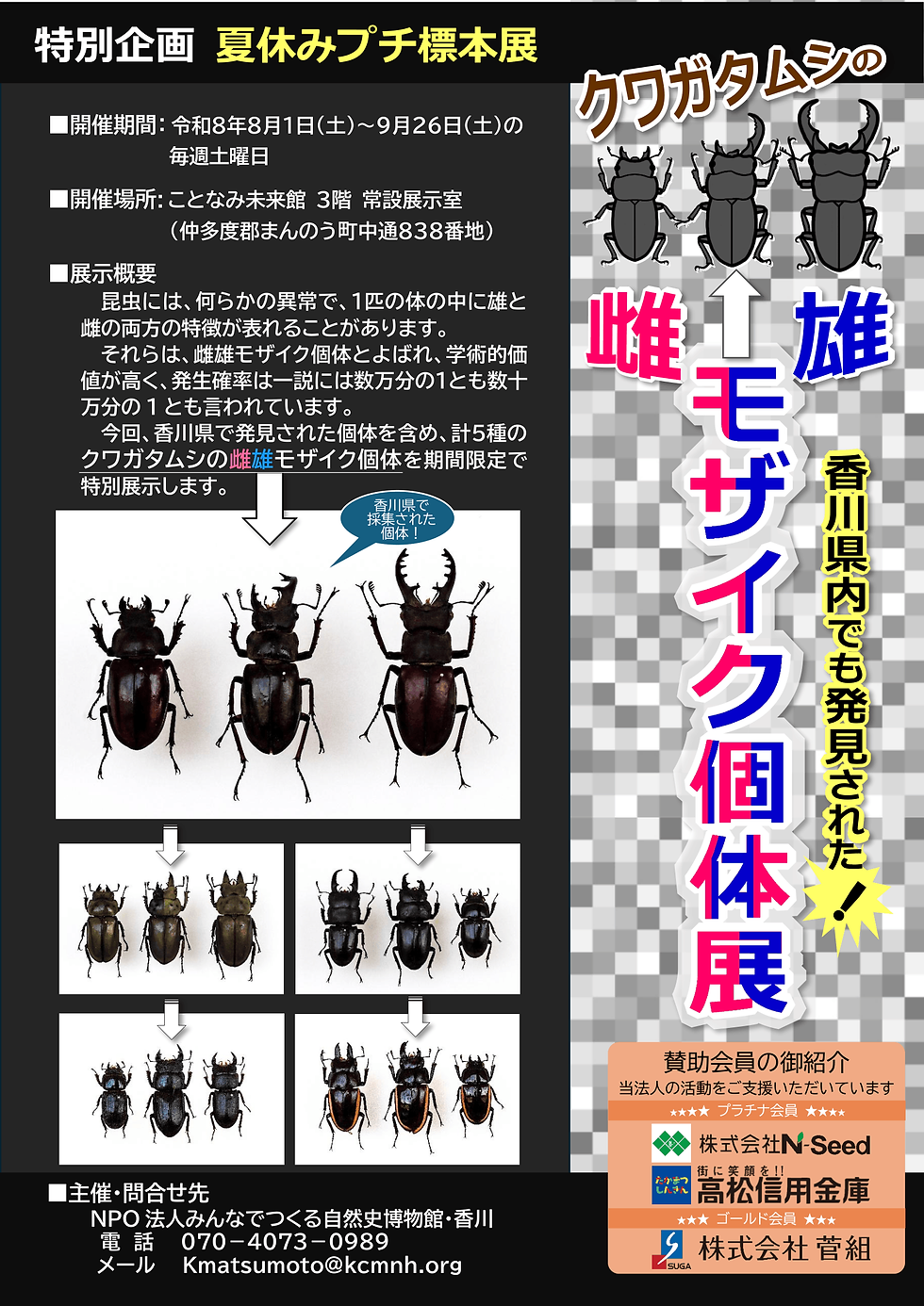 チラシ_自主事業_クワガタ性モザイク展_修正版3-1.png
