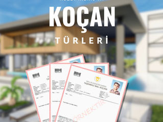 Kuzey Kıbrıs’ta kaç tür koçan vardır?