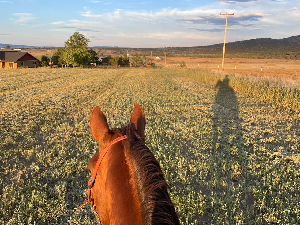 Best view in the world