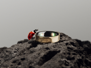 The Equestrian's Guide to Wearables, From Someone Who Actually Rides