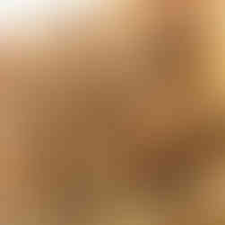 おっさんシフォン研究所｜岡山・お取り寄せシフォンケーキ専門店（全国発送対応）