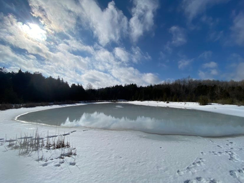 Millbrook, March 2022