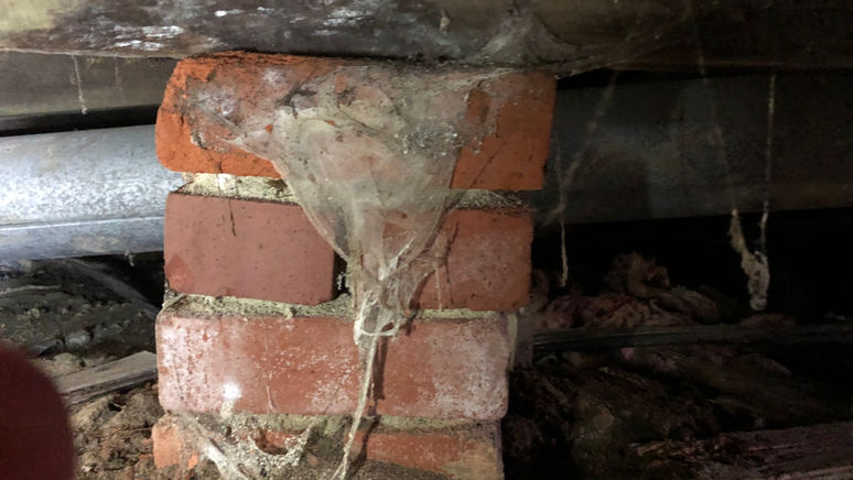 Foundation Assessment: Inspector using a flashlight to inspect foundation in the crawlspace