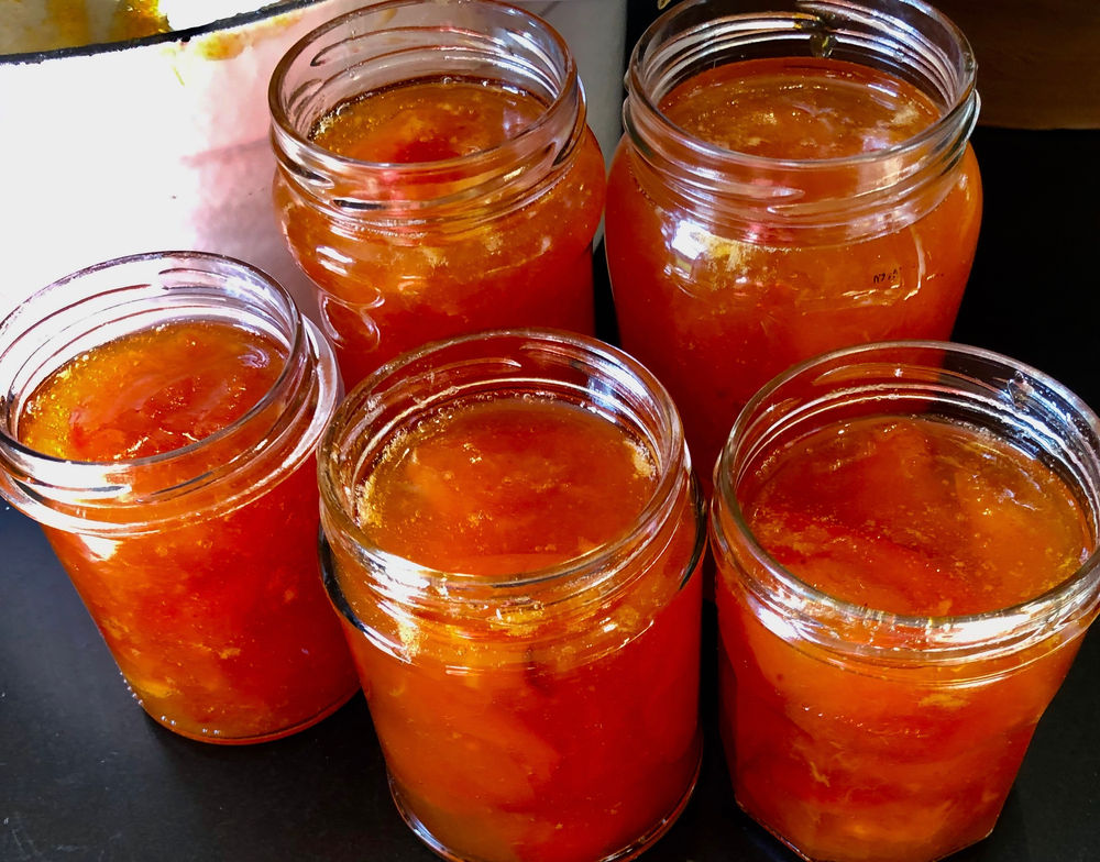 Jammaking is an antidote to the blues