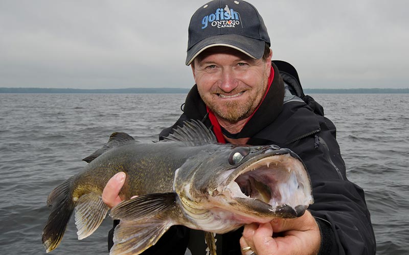 Walleye fishing packages — Timberwolf Lodge – Timberwolf Lodge