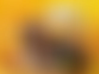 Announcing new comedy album: 'CALISE HAWKINS IS 40 AF' out Aug 14 on Blonde Medicine