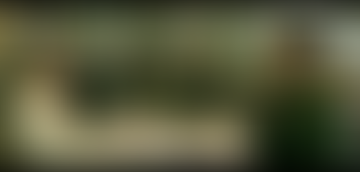 TRAVIS: Film by Melissa Stephens, co-created by Leslye Headland