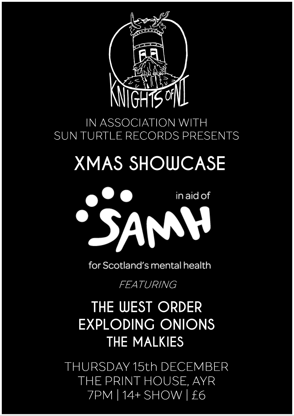 Sun Turtle Records Presents: XMAS Showcase