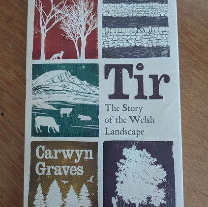 Tir by Carwyn Graves