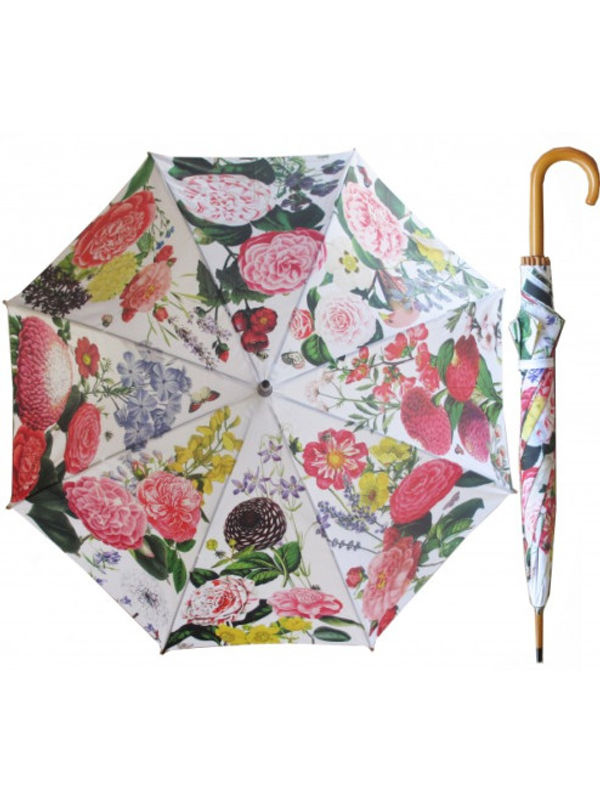 rh105-eg_rosehip_umbrella_-_english_garden