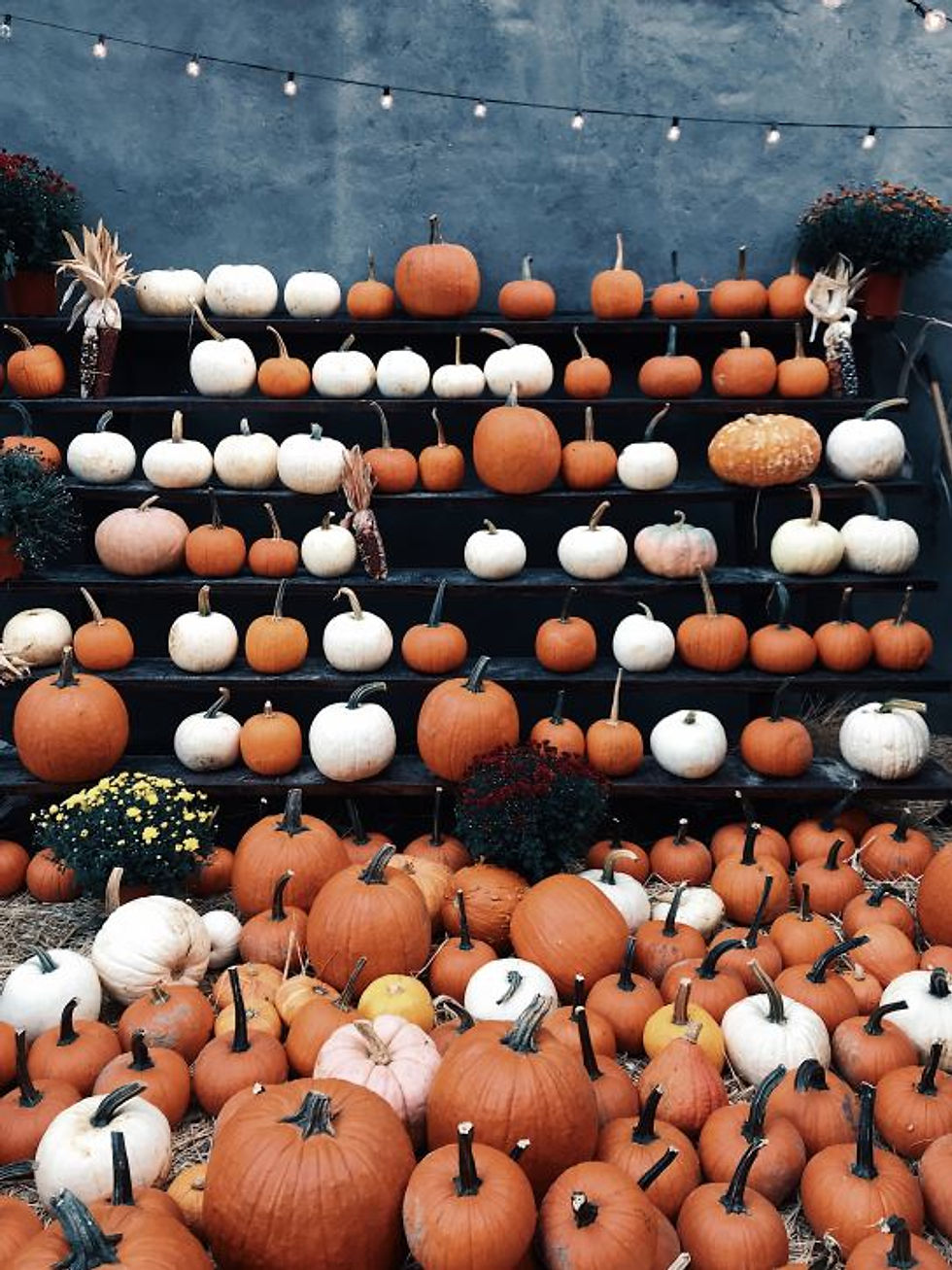innerbloom_pumpkins