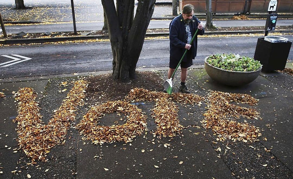 boston globe voter midterm elections