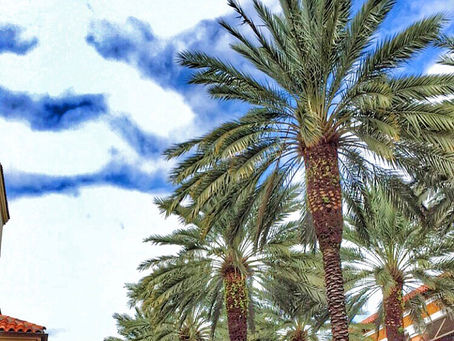 Quick Florida Getaway