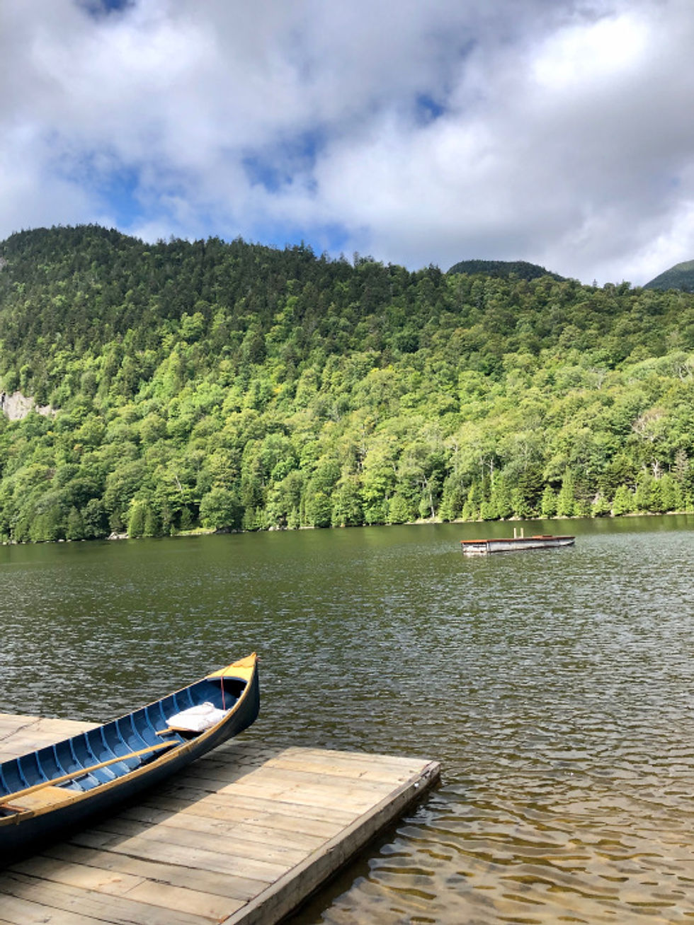 innerbloom_adirondacks.jpeg