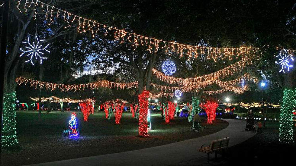 Central Park Holiday lighting