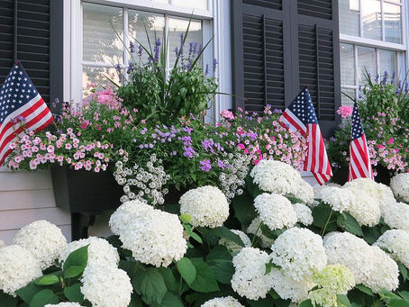 What to do on Martha’s Vineyard