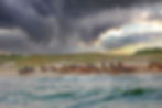 Stormy skies