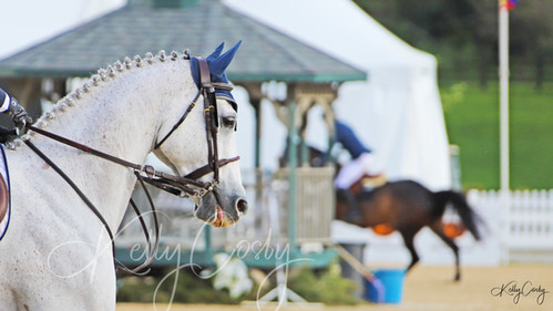 On Deck | Kelly Cosby Photogra