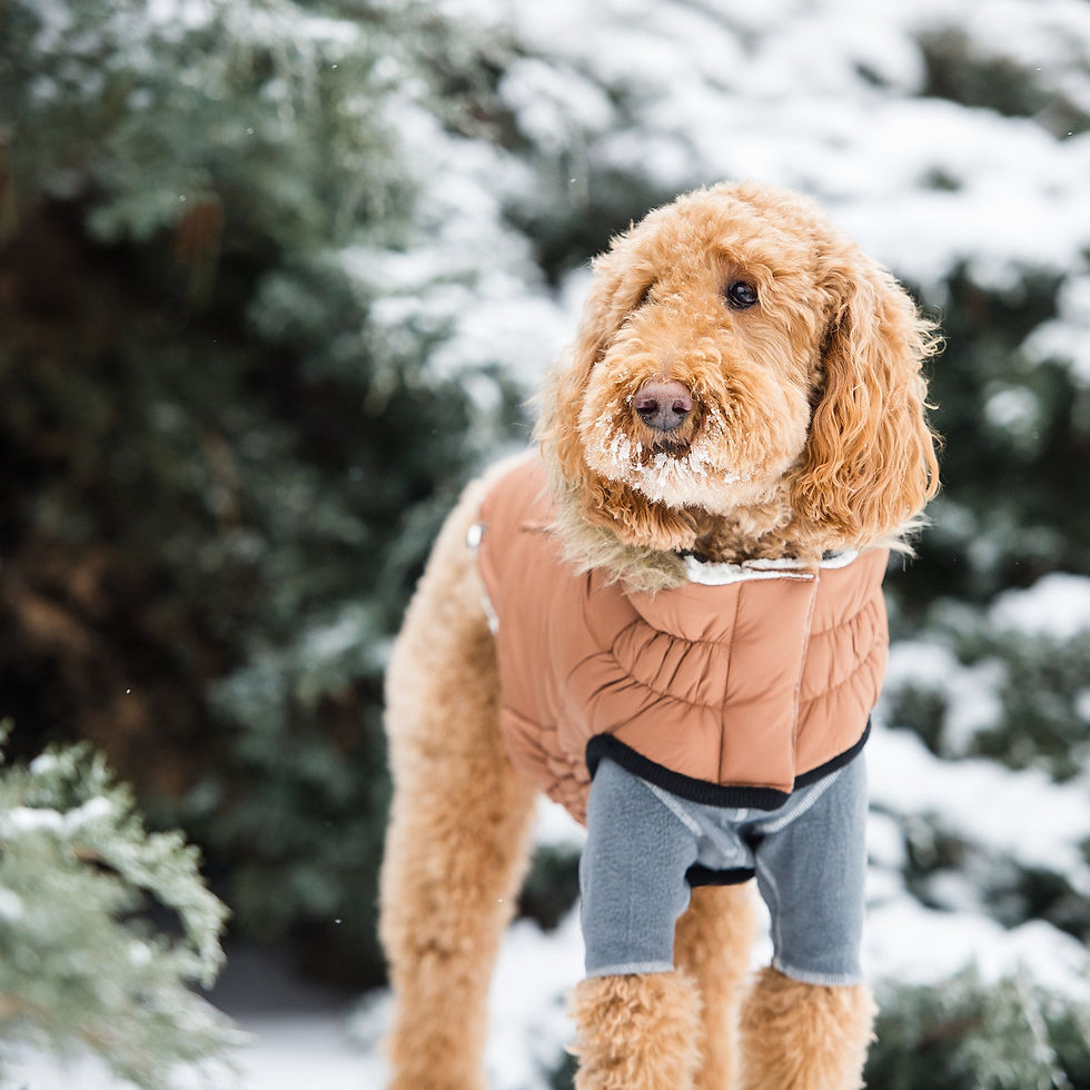 Thumbnail: Urban Parka - Caramel