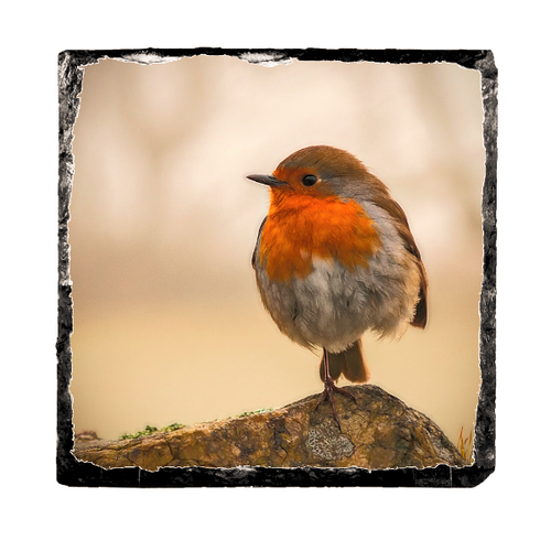 Robin Slate Robin slate mat, coaster and serving mat | lake district placemats