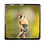 Thumbnail: Goldfinch placemat and coaster