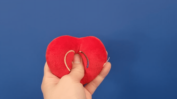 KakaoTalk_Photo_2021-06-16-11-31-23.gif