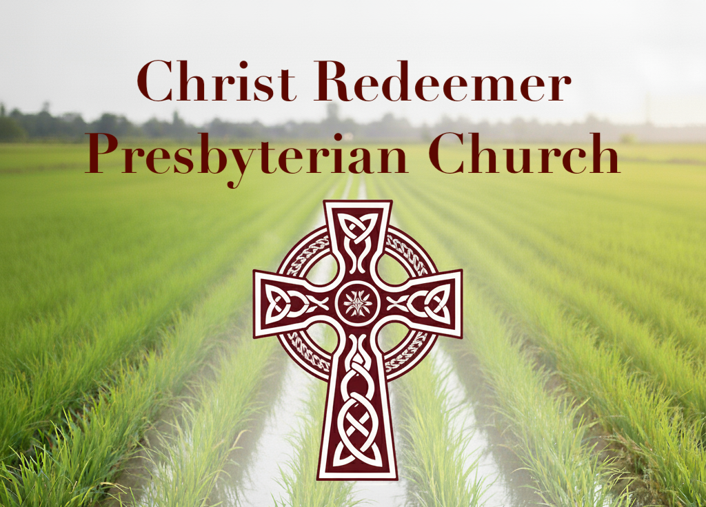 Christ Redeemer PCA - Mission 2