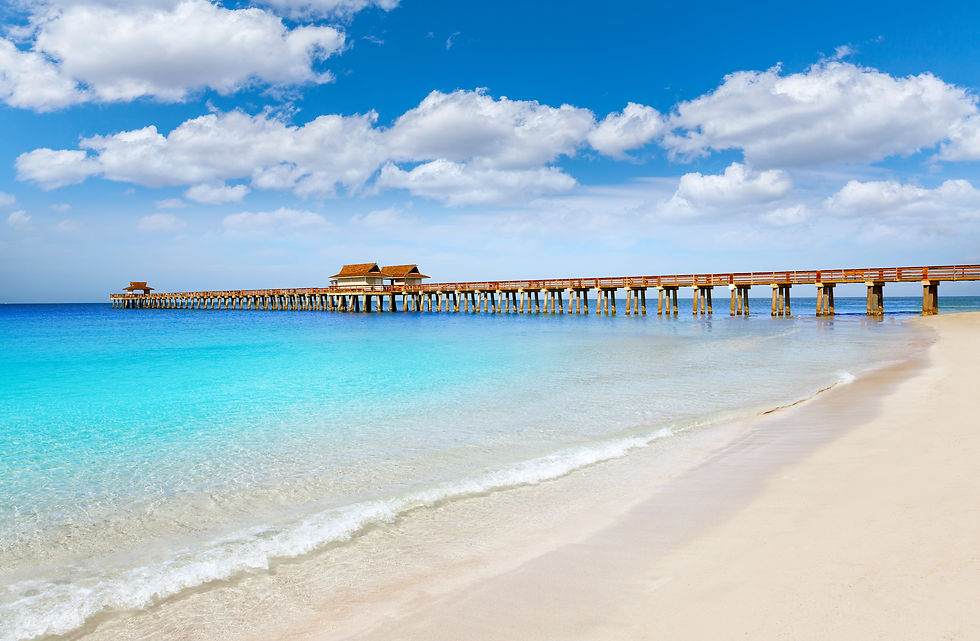Florida.jpg