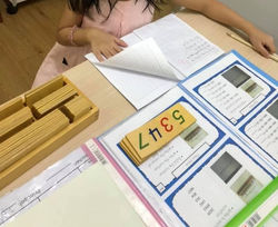 The numeral system