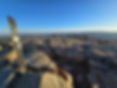 20250203_163129.jpg
