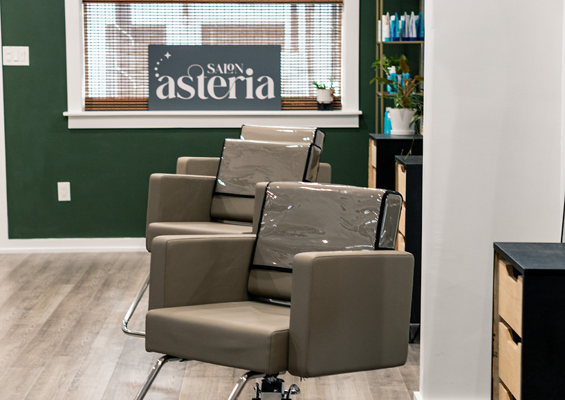 minerva chairs and plants in salon asteria in slidell