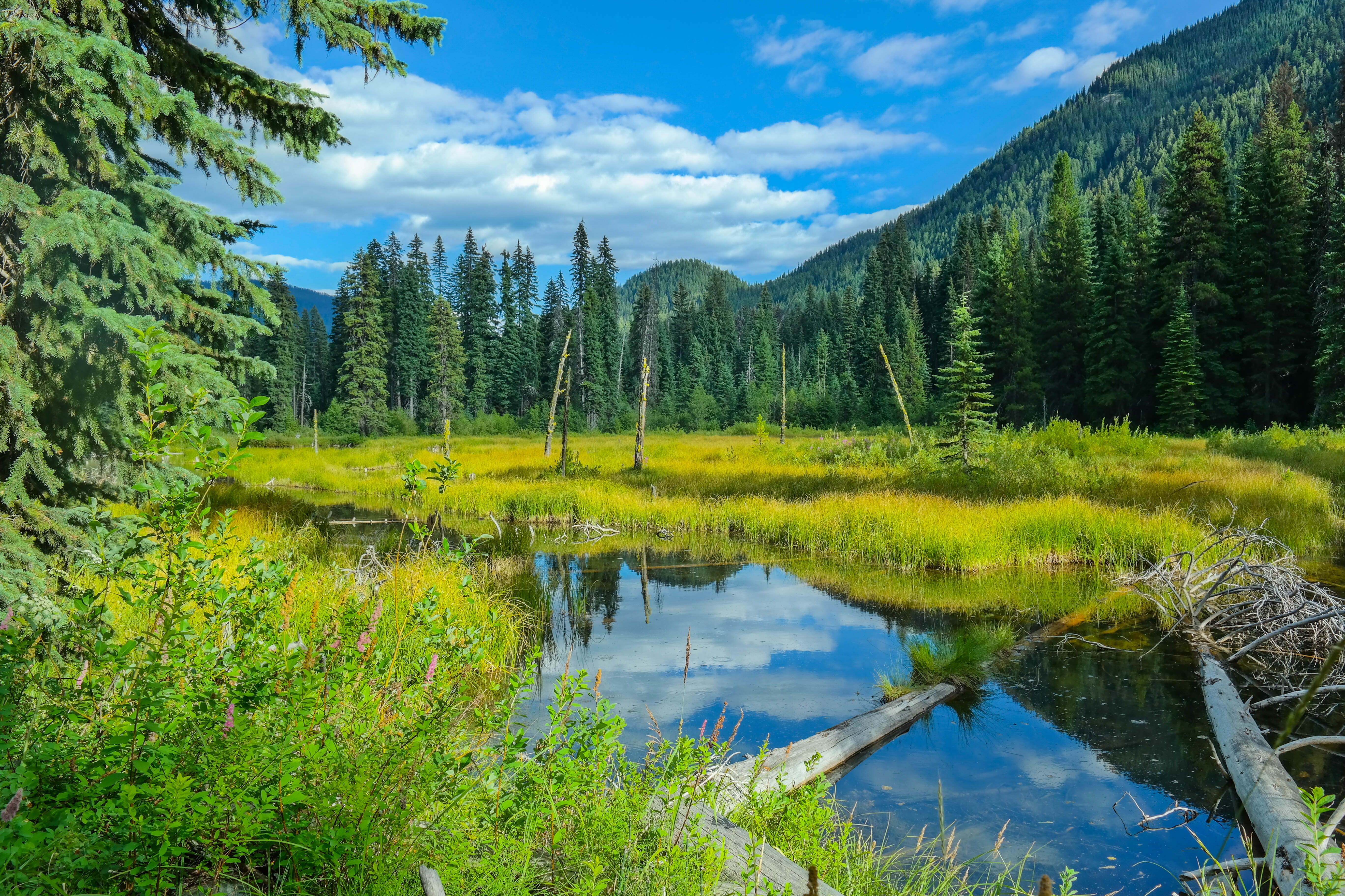 Manning Park, BC