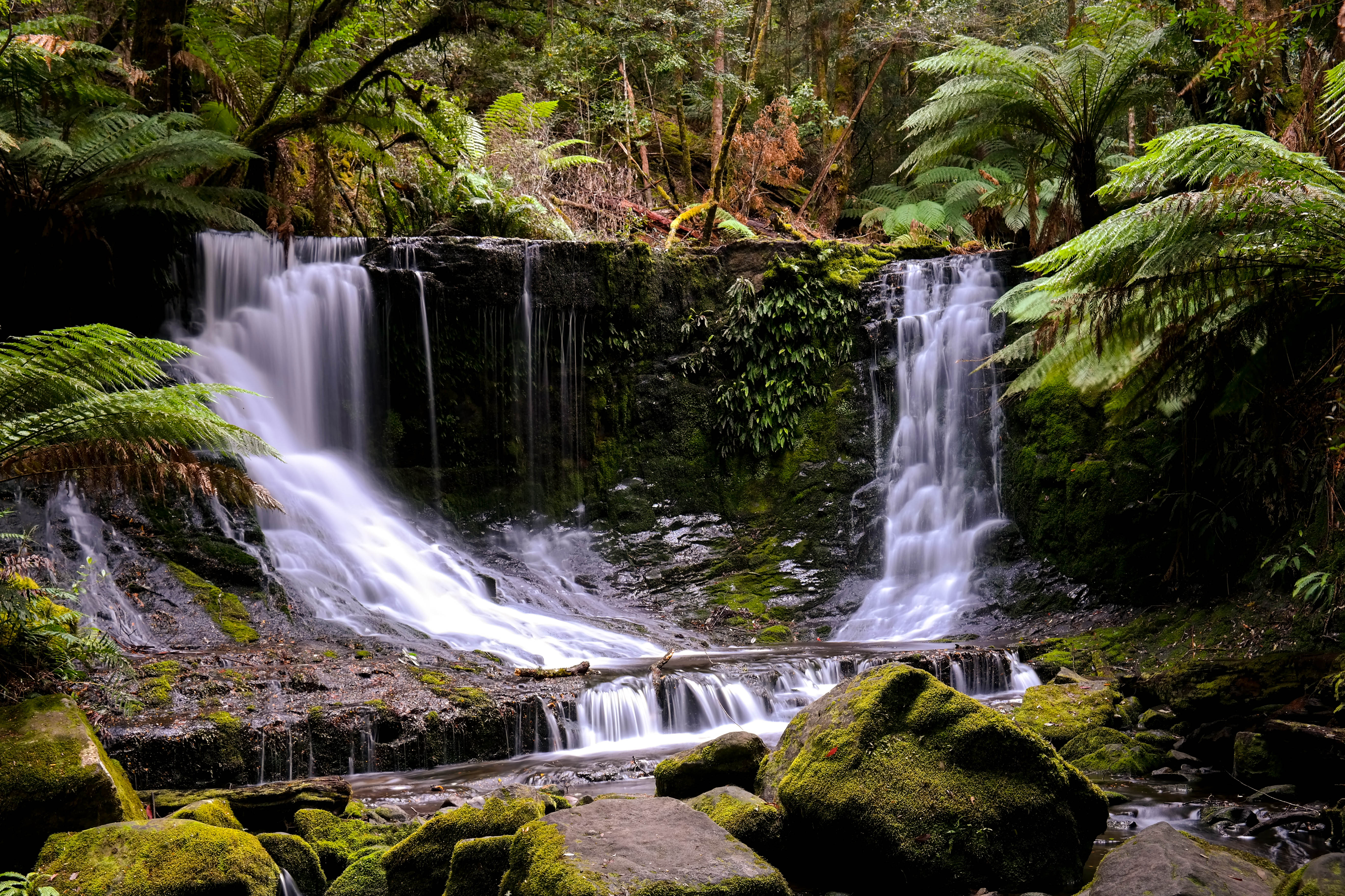 Mt. Field National Park, TAS
