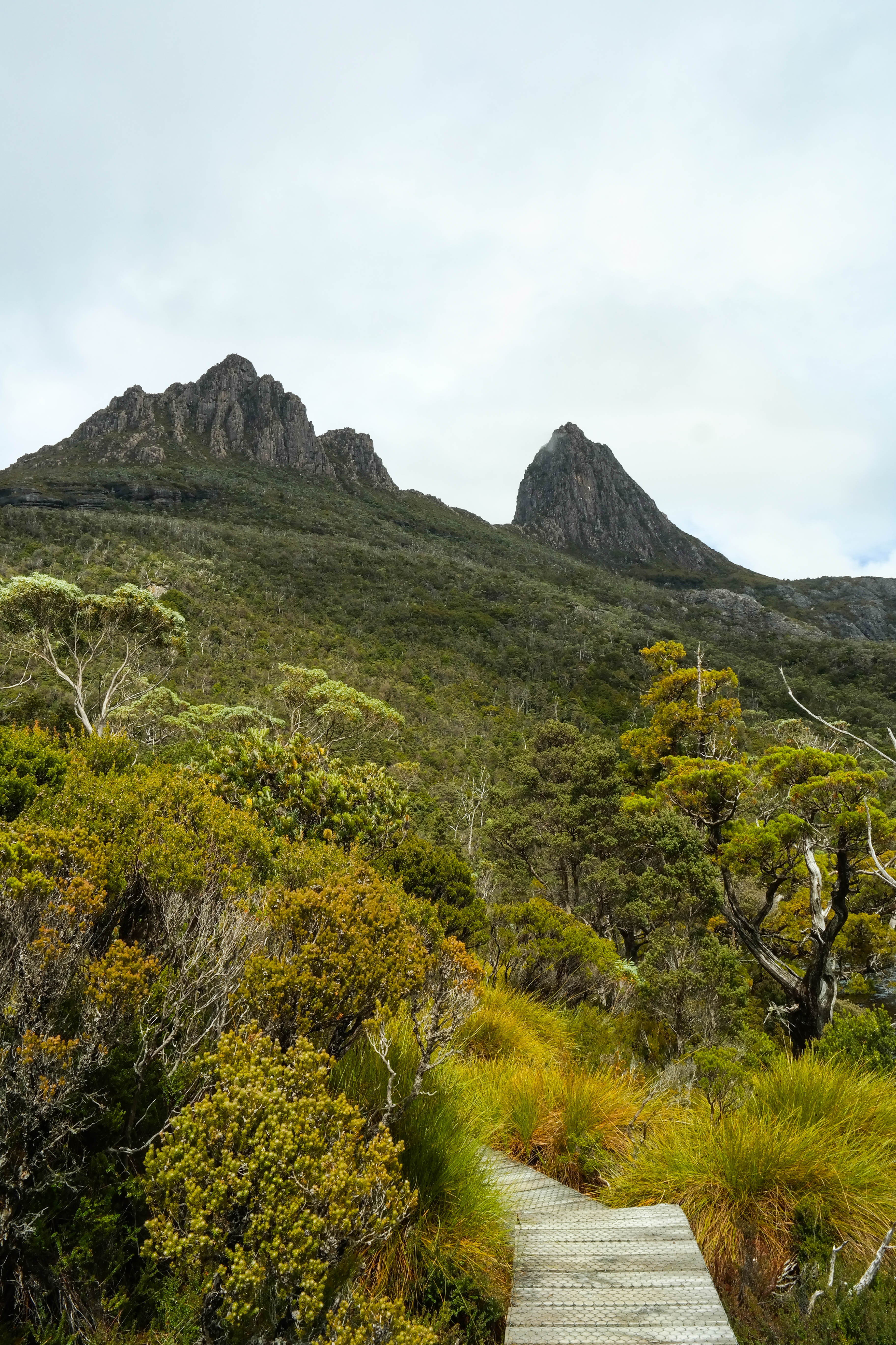 Cradle Mountain, TAS