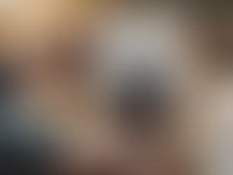 Pet Sitting in Vancouver: Trust PetPros for Happy Pets