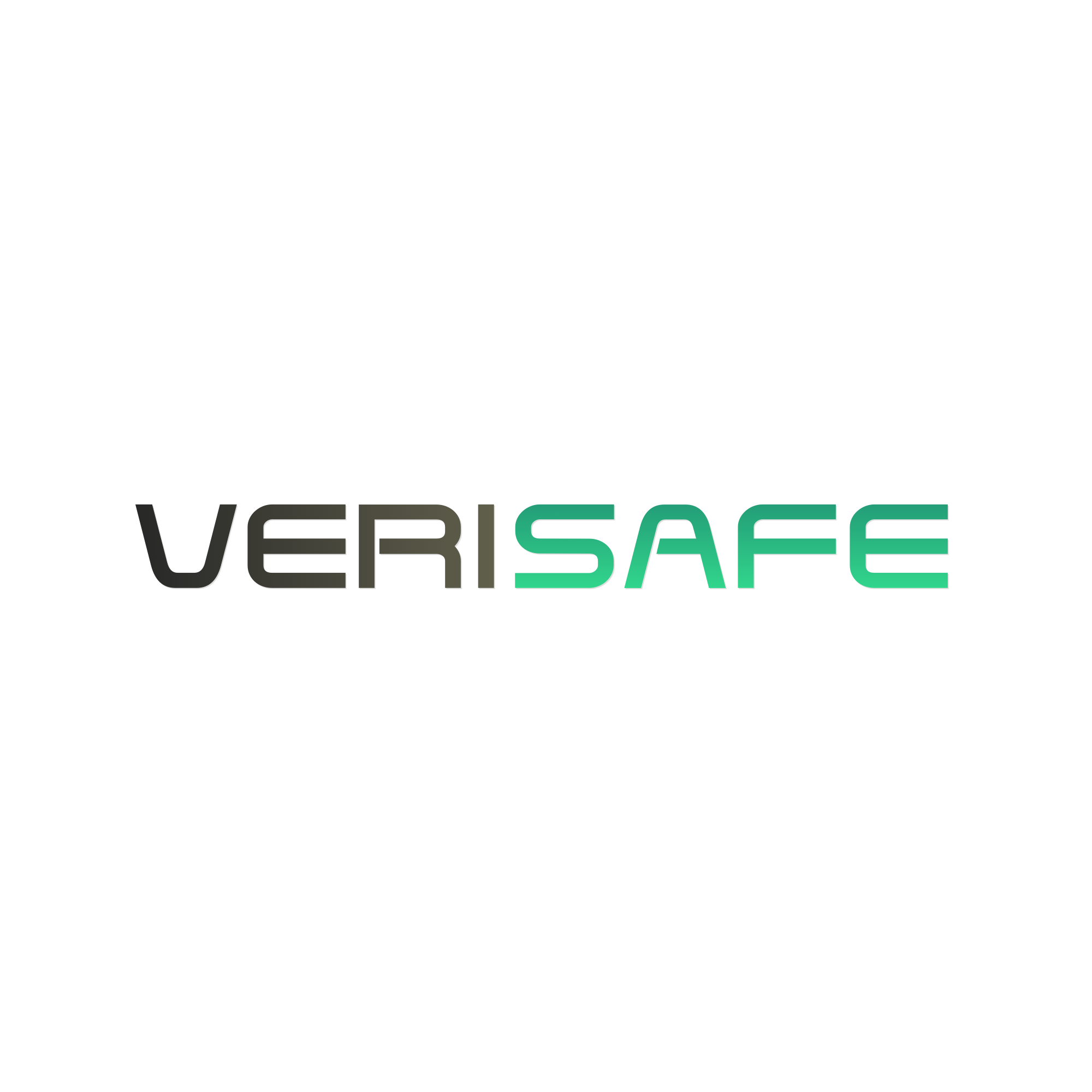 VERI-SAFE-2.png