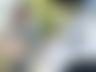 Woman charging EV after shopping