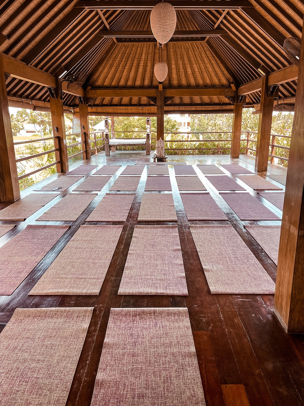 Sky Shala Soulshine Bali(1) (1)