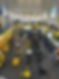 IMG_2406.jpeg