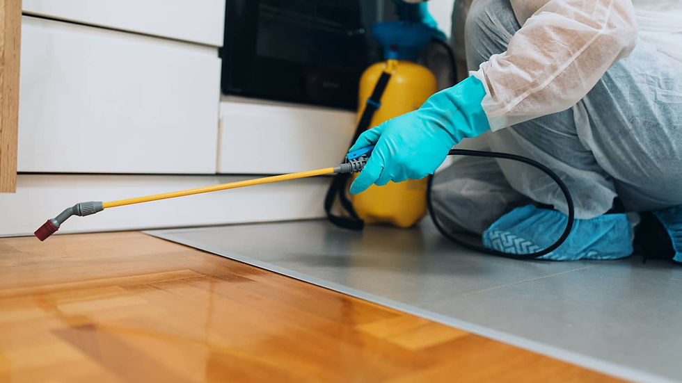 Pest Control - No Fuss Exterior Cleaning.jpeg