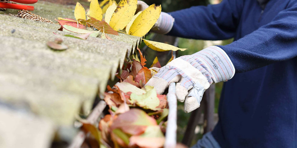 Gutter Cleaning - No Fuss Exterior Cleaning.jpeg