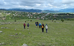 PXL_20240504_115211607.MP.jpg